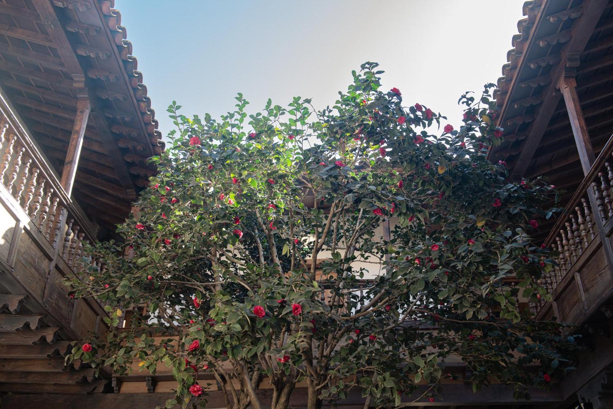 Hotel La Casa De La Camelia San Cristóbal de La Laguna Exterior foto